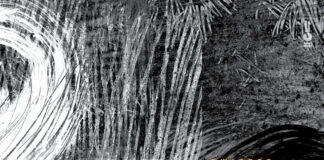 Mockūnas/Blaser/Ducret – Twisted Summer