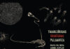 María Valencia/Leonel Kaplan – Translúcidas Criaturas Pulsantes