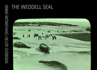 Anna McMichael & Helen Svoboda – The Weddell Seal