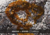 Sbatax + Gross – Lapilli