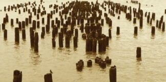 Quentin Tolimieri – Monochromes II